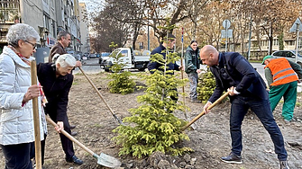 1000 дръвчета на ключови локации засади Пловдив