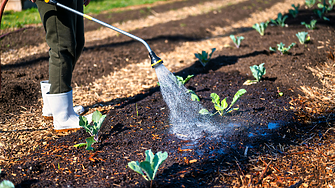 Обявиха новите цени за доставка на вода за напояване за следващите 2 години