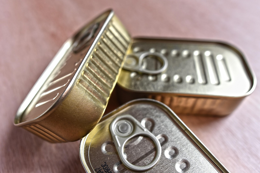 Фабрика за консерви от африкански сом изграждат край Лом