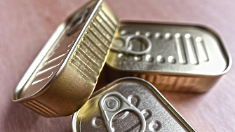 Фабрика за консерви от африкански сом изграждат край Лом