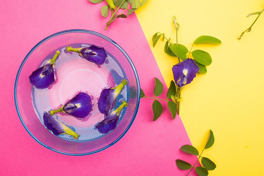 Цвят на пеперуден грах; ©Pixabay