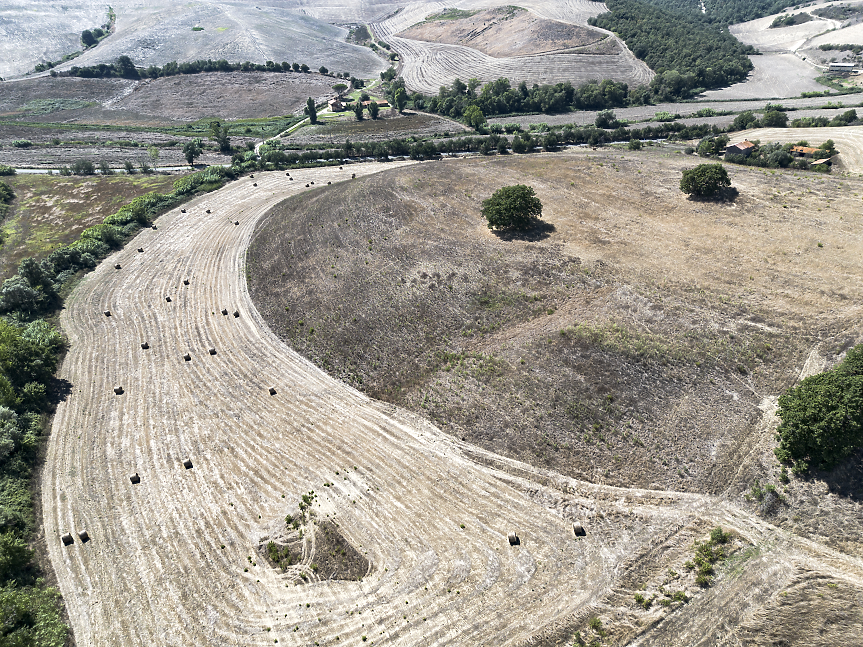 Гениалната идея, която може да помогне на света да произвежда много повече храна