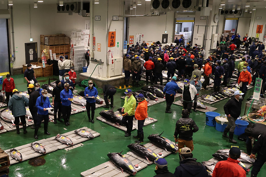 В Япония платиха рекордните $3.2 млн. за риба тон с тегло 243 кг