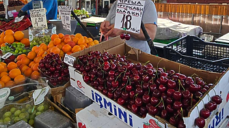 Кюстендил строи логистичен център за земеделска продукция за €12 млн.