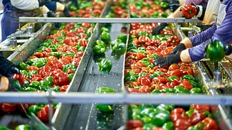 Пресните чушки поскъпнали с 58% за седмица, вносните цитруси поевтиняват значително