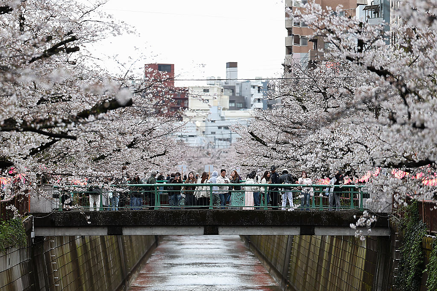 Такси, AI и забрани: Как по света се борят със свръхтуризма?
