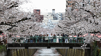 Такси, AI и забрани: Как по света се борят със свръхтуризма?