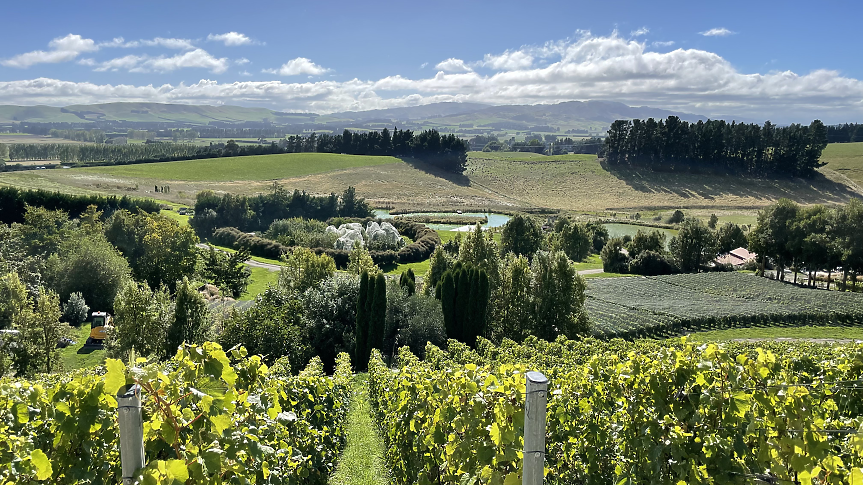 Мидалидаре Нова Зеландия