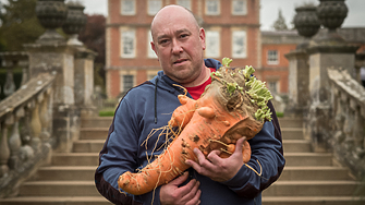 Как компания, изкупуваща грозните зеленчуци от магазините, прави по 200 млн. оборот