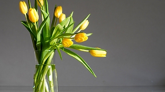 Турски регион изнесе 80 млн. стръка цветя за 8 март, България сред топ купувачите