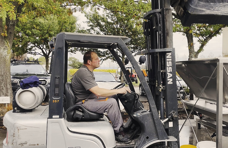 Мидалидаре Нова Зеландия