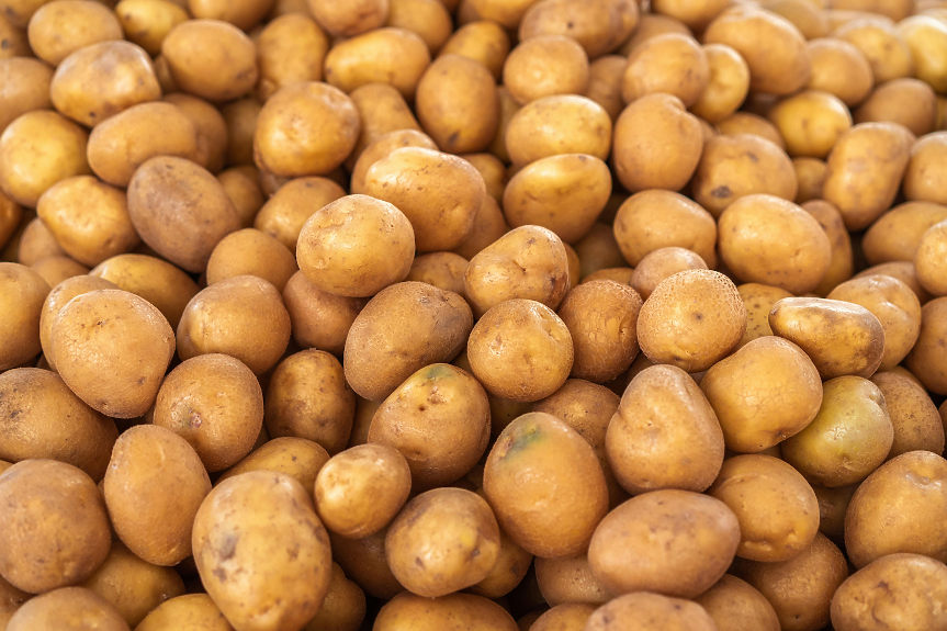 4000 тона излишък: Германия се дави в картофи и ги раздава безплатно