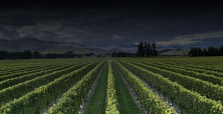 Областта Марлборо в Нова Зеландия