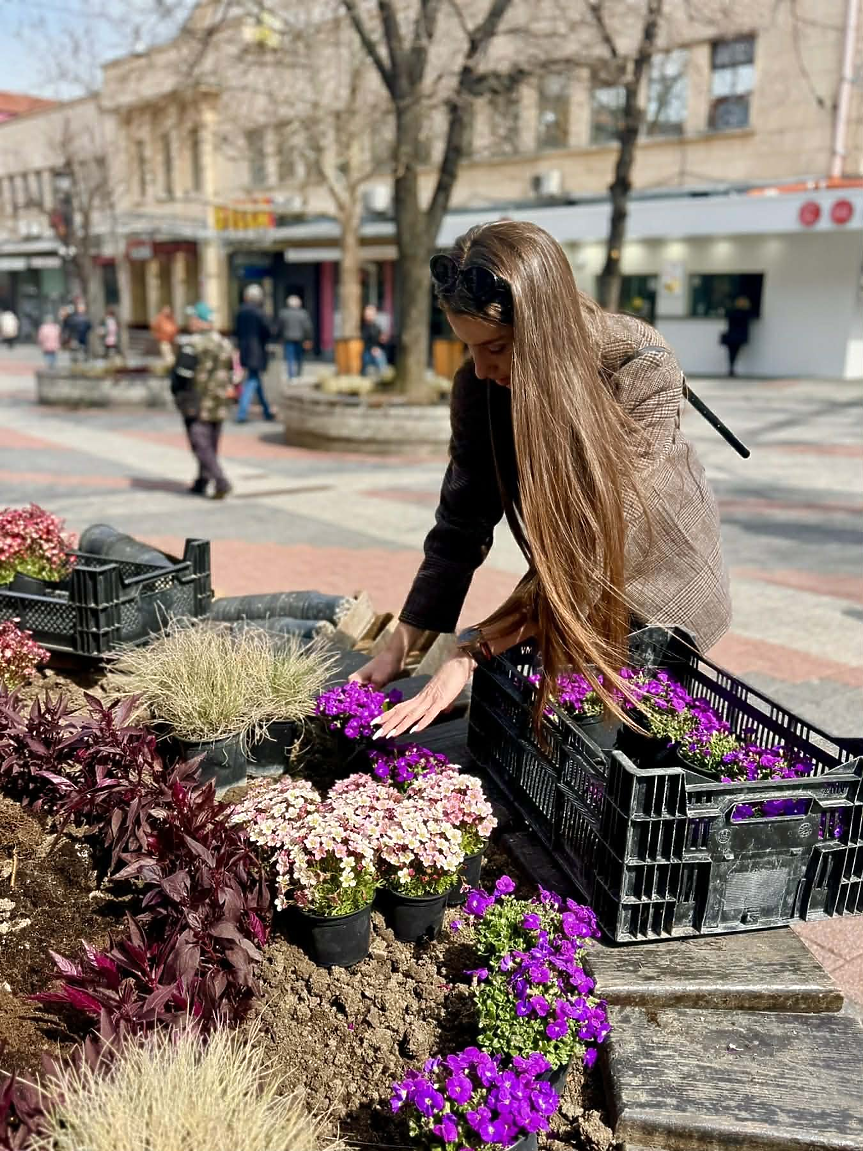 3000 нови цветя засади Плодив на главната си улица; ©Община Пловдив