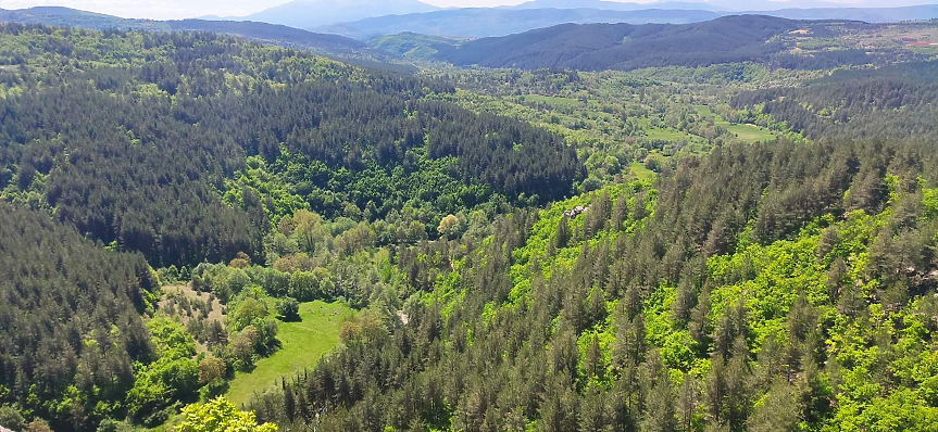 За 60 години: Горите у нас нараснали с 23%