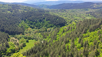 За 60 години: Горите у нас нараснали с 23%