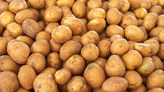 Защо картофите в Белгия вече се продават за 0 евро