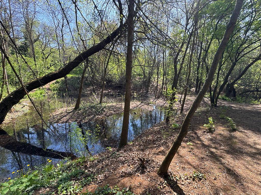 Проект за €255 000: Стартира възстановяването на езерата в Южния парк в София