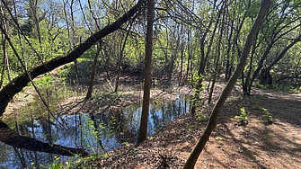 Проект за €255 000: Стартира възстановяването на езерата в Южния парк в София