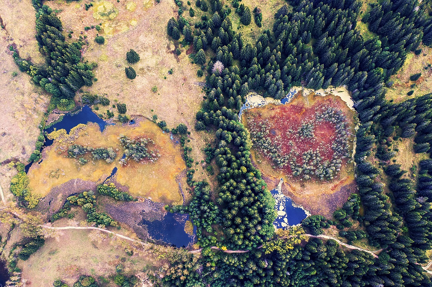 Създадоха първи наръчник за опазване на торфищата у нас