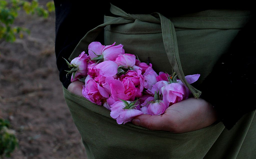 Rosey’s Mark: Как две сестри превърнаха българската роза в успешен бизнес и нова кулинарна тенденция?