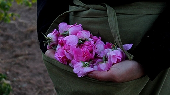 Rosey’s Mark: Как две сестри превърнаха българската роза в успешен бизнес и нова кулинарна тенденция?