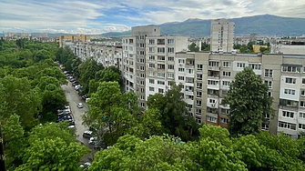 Казусът 